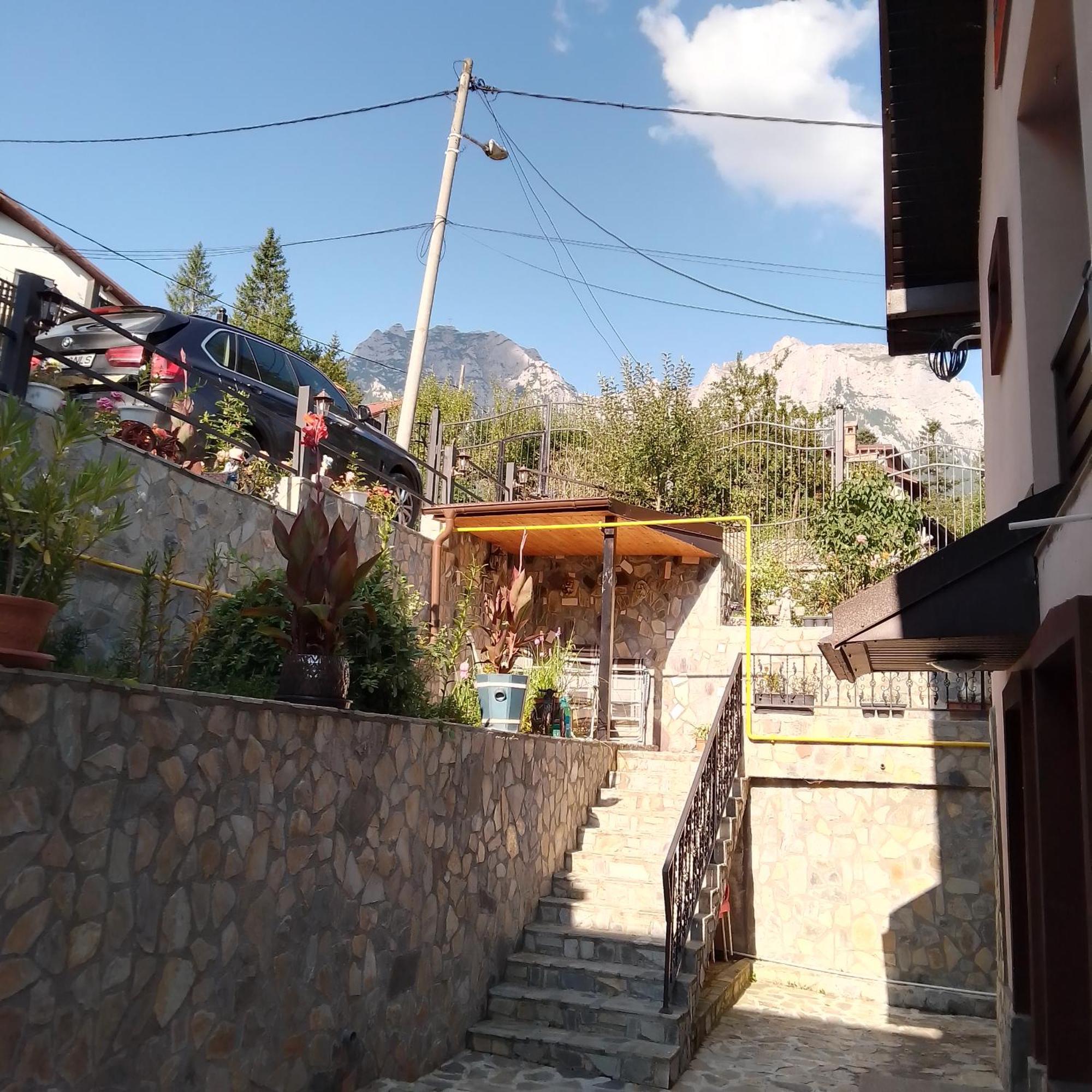 Casa Nicolas Buşteni Exterior foto