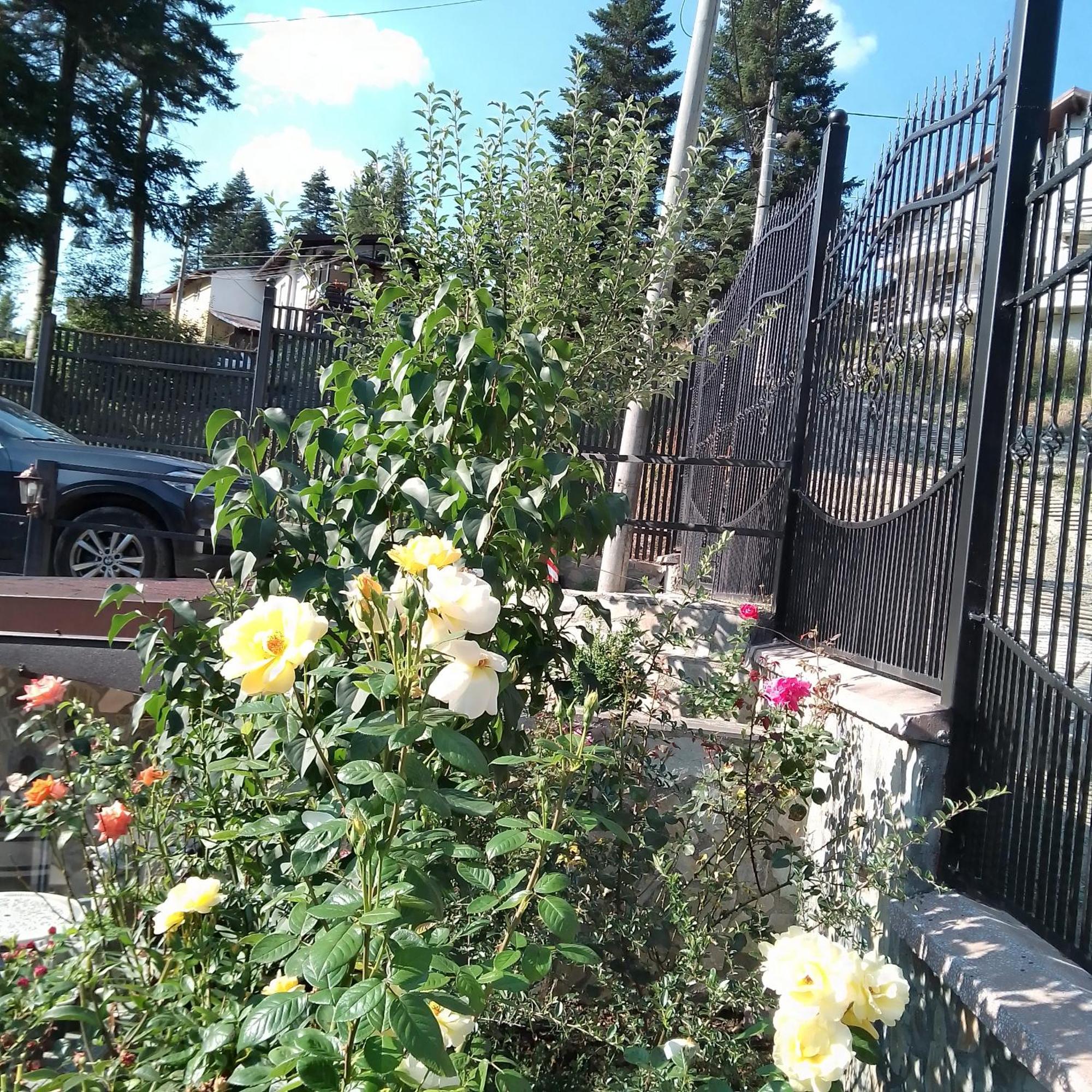 Casa Nicolas Buşteni Exterior foto